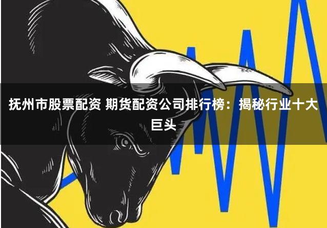 抚州市股票配资 期货配资公司排行榜：揭秘行业十大巨头