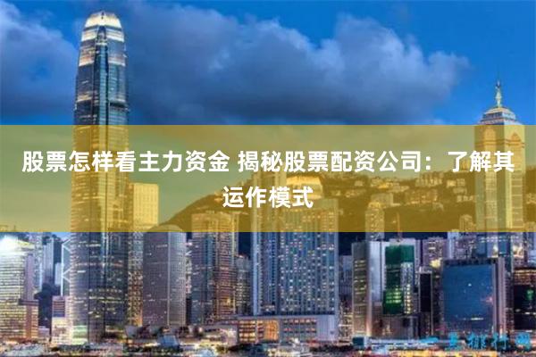 股票怎样看主力资金 揭秘股票配资公司：了解其运作模式